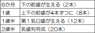赤ちゃんの歯の本数