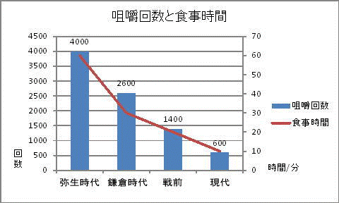 咀嚼回数と食生活の変化