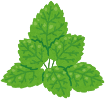 ミント